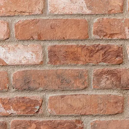 Feel - Bunico 公寓 尼斯